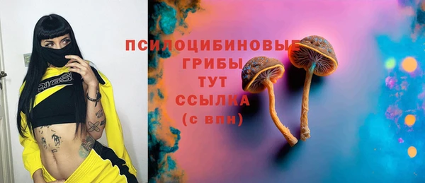 мдпв Сафоново