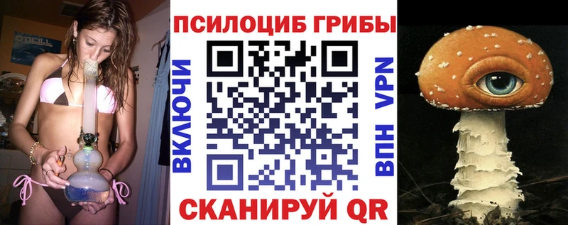 Псилоцибиновые грибы Psilocybe  купить наркоту  Бобров 